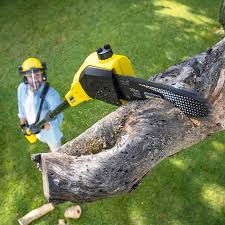 Best Lawn Watering Services  in Quantico Base, VA